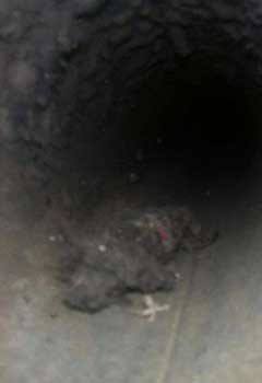 Local Dryer Vent Cleaning Near Highlands